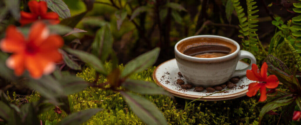 Expérience café