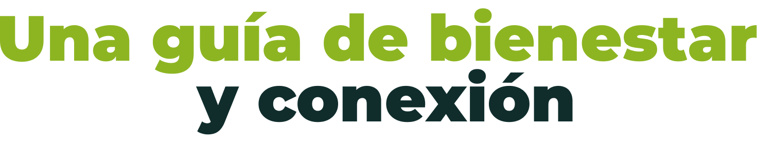 Una guía de bienestar y conexión